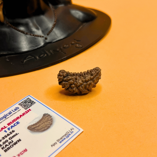 1 Mukhi Rudraksha