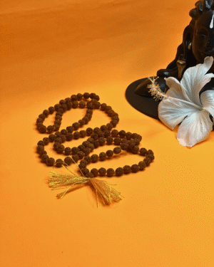 5 Mukhi Rudraksha Mala