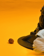 3 Mukhi Rudraksha