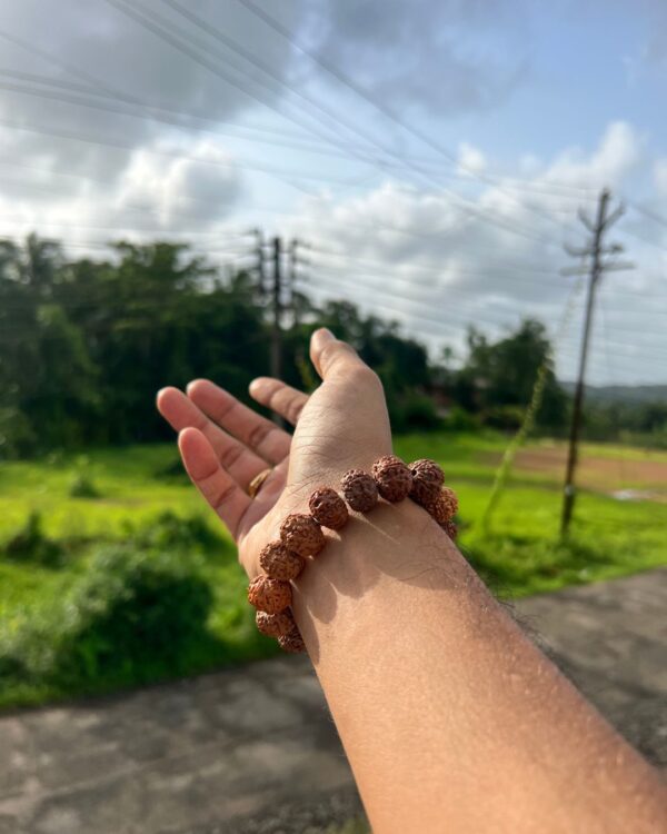 7 Mukhi Rudraksha Bracelet