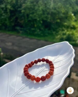 Panch Mukhi Rudraksh Bracelet