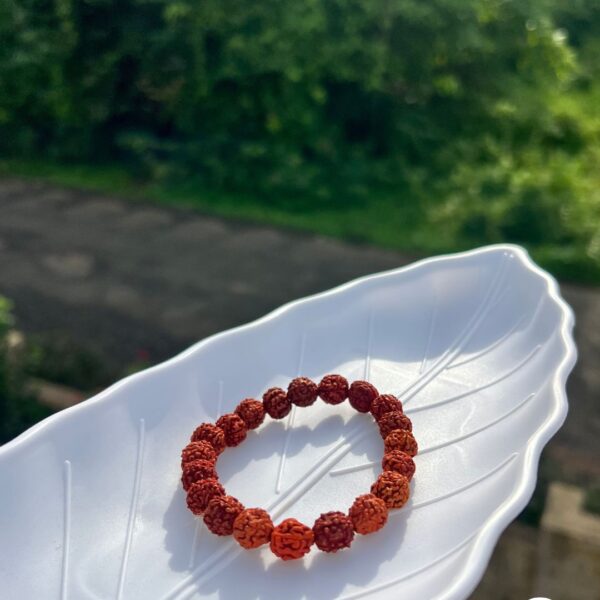 Panch Mukhi Rudraksh Bracelet