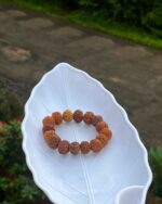 7 Mukhi Rudraksha Bracelet