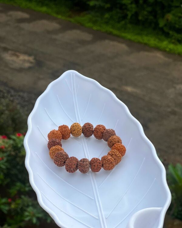 7 Mukhi Rudraksha Bracelet