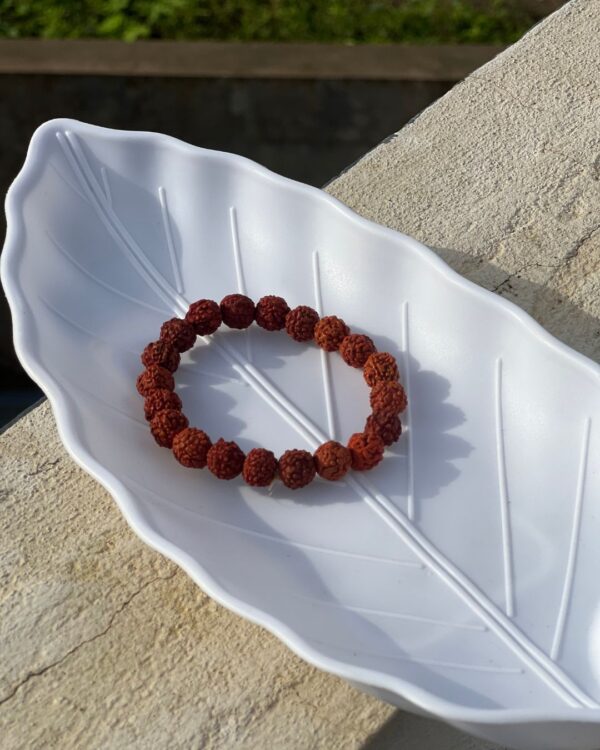 Panch Mukhi Rudraksh Bracelet