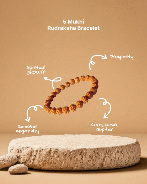 5 Mukhi Rudraksha & Pyrite Bracelets Combo