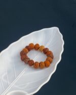 7 Mukhi Rudraksha Bracelet