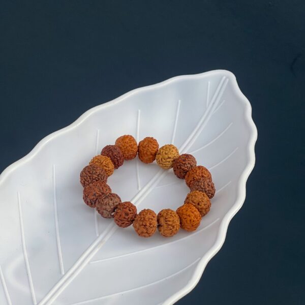 7 Mukhi Rudraksha Bracelet