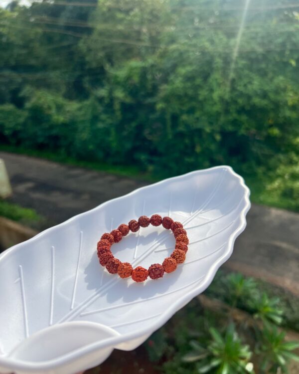 Panch Mukhi Rudraksh Bracelet