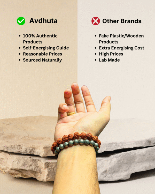 5 Mukhi Rudraksha & Pyrite Bracelets Combo