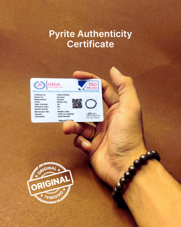 5 Mukhi Rudraksha & Pyrite Bracelets Combo