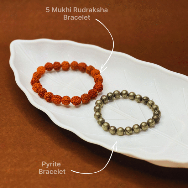 5 Mukhi Rudraksha & Pyrite Bracelets Combo