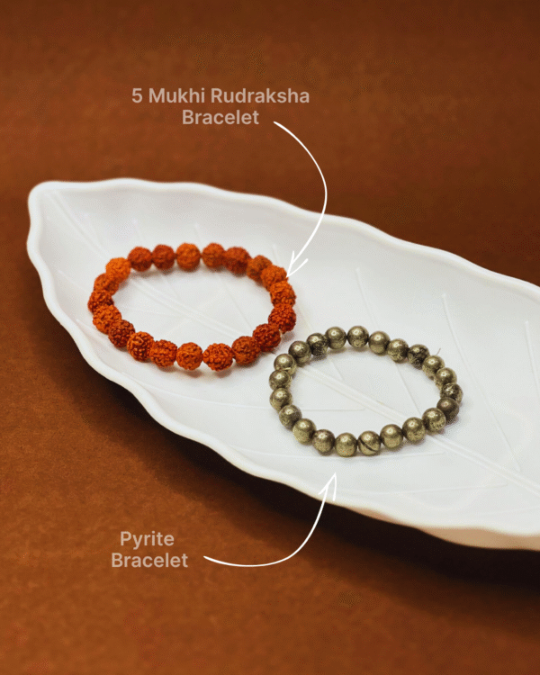 5 Mukhi Rudraksha & Pyrite Bracelets Combo