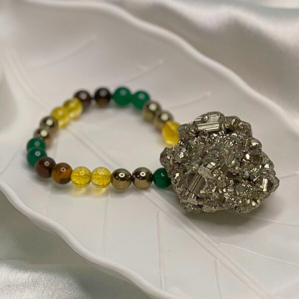 Money Magnet Package by Avdhuta