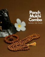 Avdhuta Panch Mukhi Combo Package - Rudraksh Bead-Maala-Bracelet