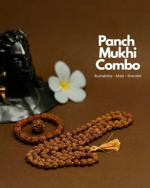 Avdhuta Panch Mukhi Combo Package - Rudraksh Bead-Maala-Bracelet