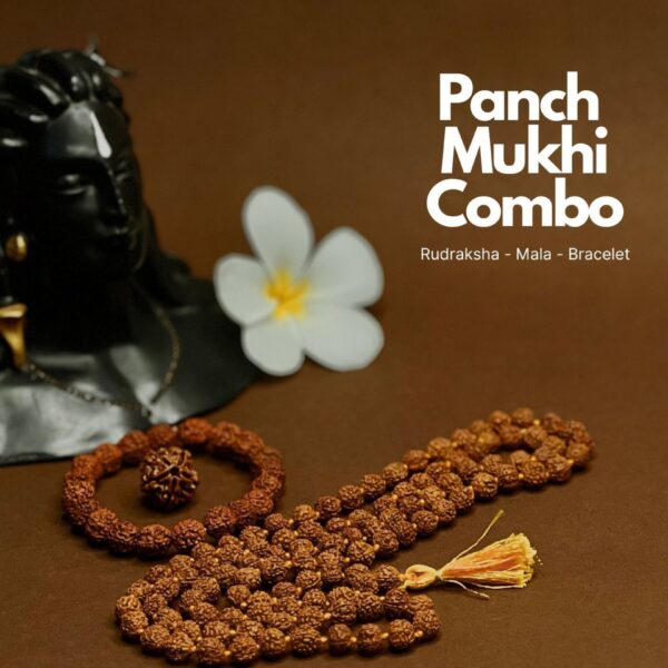 Avdhuta Panch Mukhi Combo Package - Rudraksh Bead-Maala-Bracelet