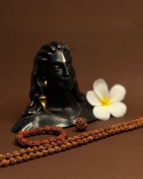 Avdhuta Panch Mukhi Combo Package - Rudraksh Bead-Maala-Bracelet