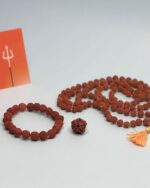 Avdhuta Panch Mukhi Combo Package - Rudraksh Bead-Maala-Bracelet