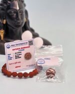 Avdhuta Panch Mukhi Combo Package - Rudraksh Bead-Maala-Bracelet