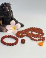 Avdhuta Panch Mukhi Combo Package - Rudraksh Bead-Maala-Bracelet